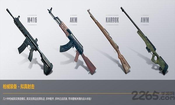 和平精英菲律宾服下载,吃鸡手游,生存手游,和平精英